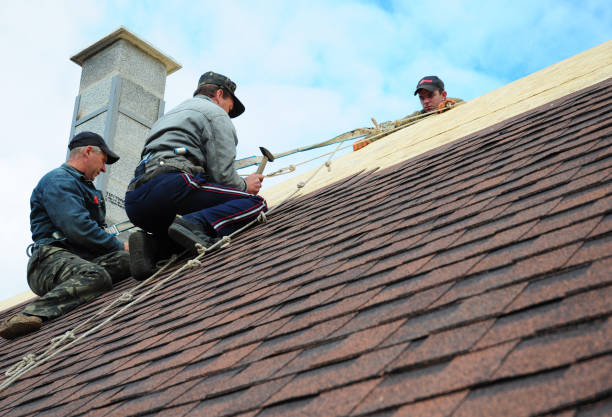 Best Gutter Installation and Roofing  in Gueydan, LA